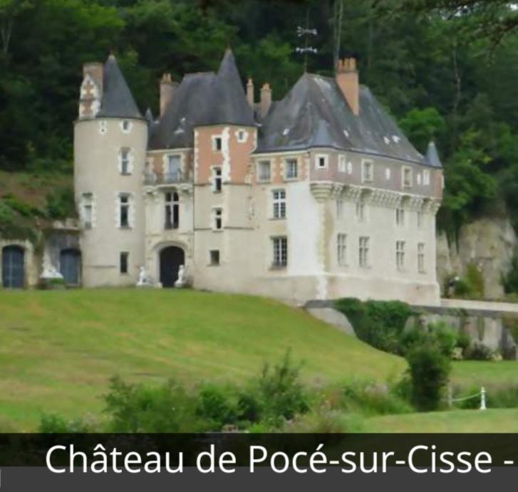 La Maison Aux Iris Pocé-sur-Cisse 외부 사진