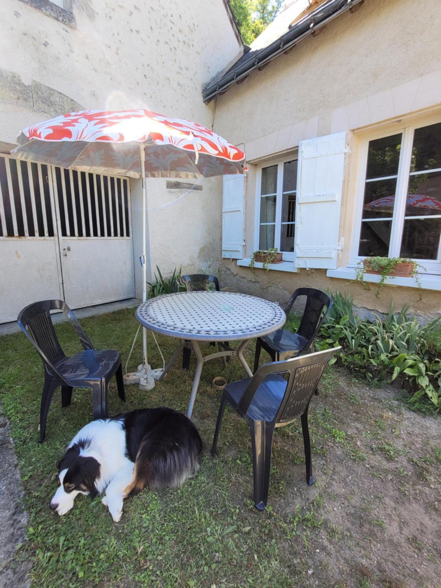 La Maison Aux Iris Pocé-sur-Cisse 외부 사진